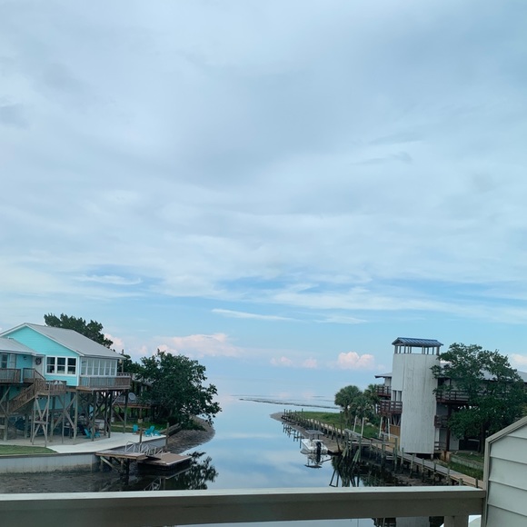 Meet your Posher, Avery - Picture 1 of 1